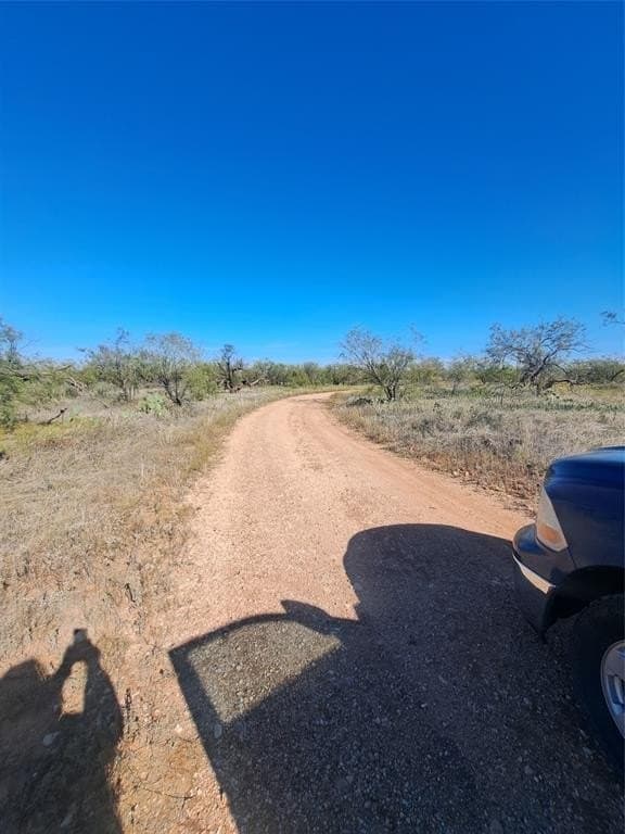 140.6 acres in Taylor County - photo 7