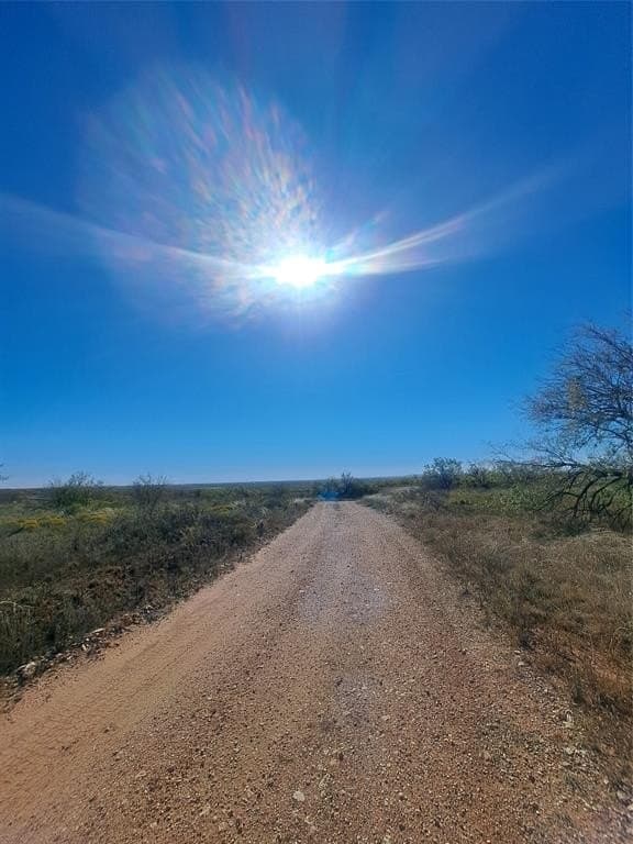 140.6 acres in Taylor County - photo 3