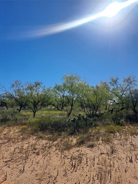 140.6 acres in Taylor County - photo 15