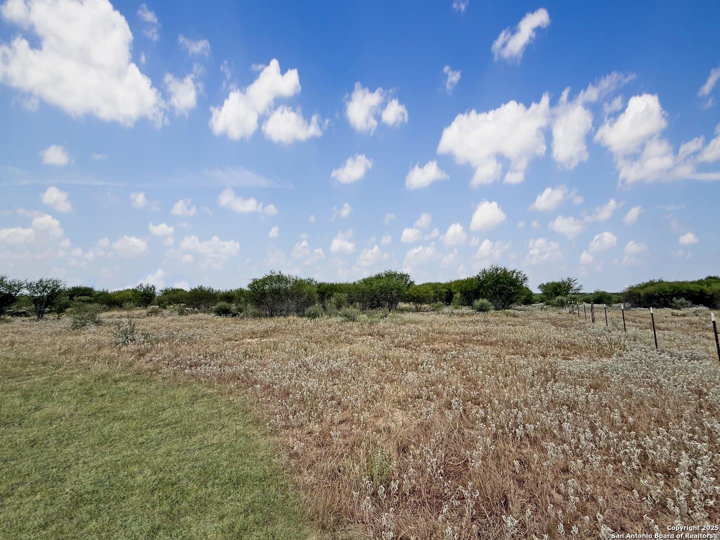 22 acres in Atascosa County - photo 7