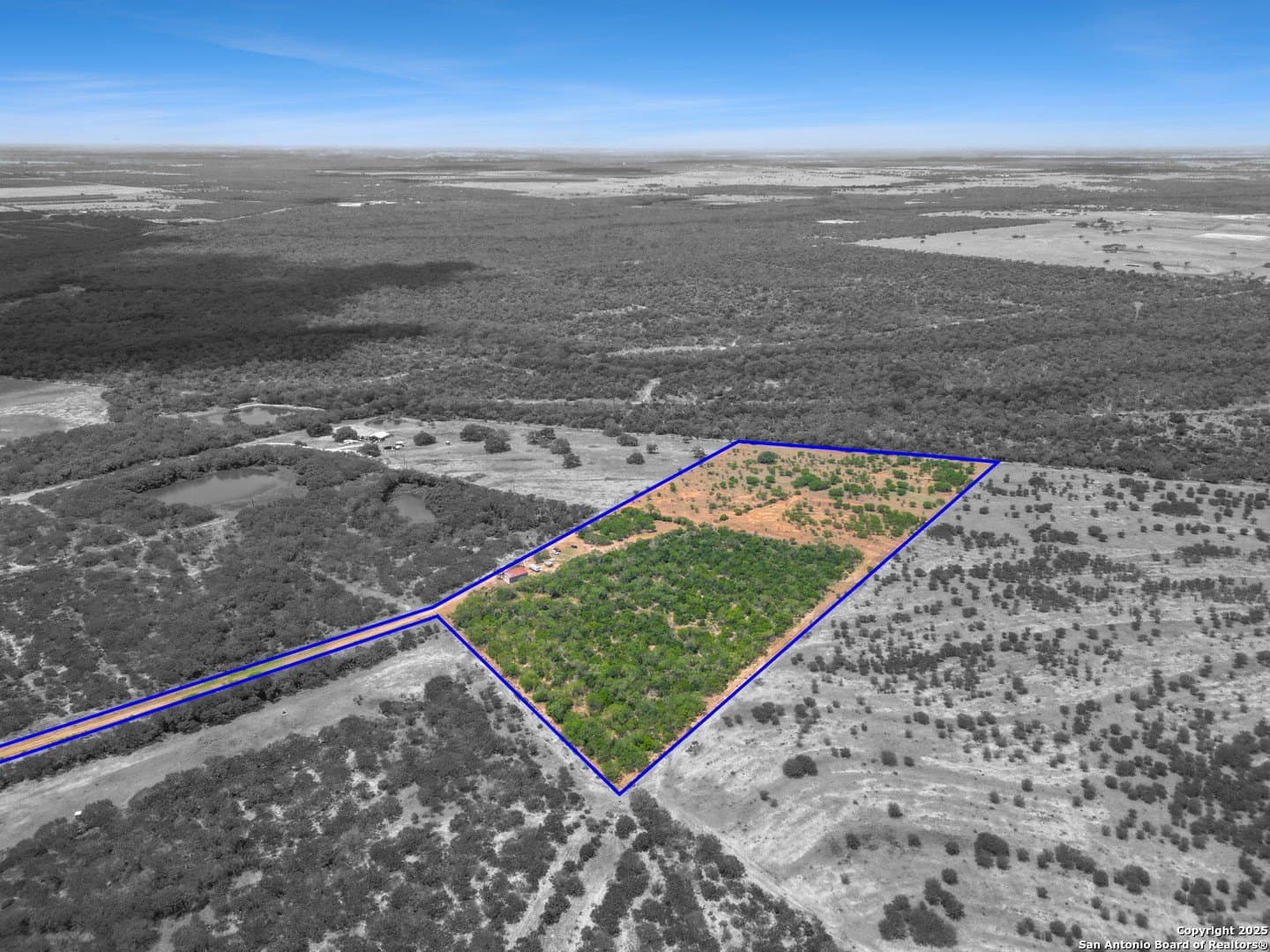 22 acres in Atascosa County - photo 25