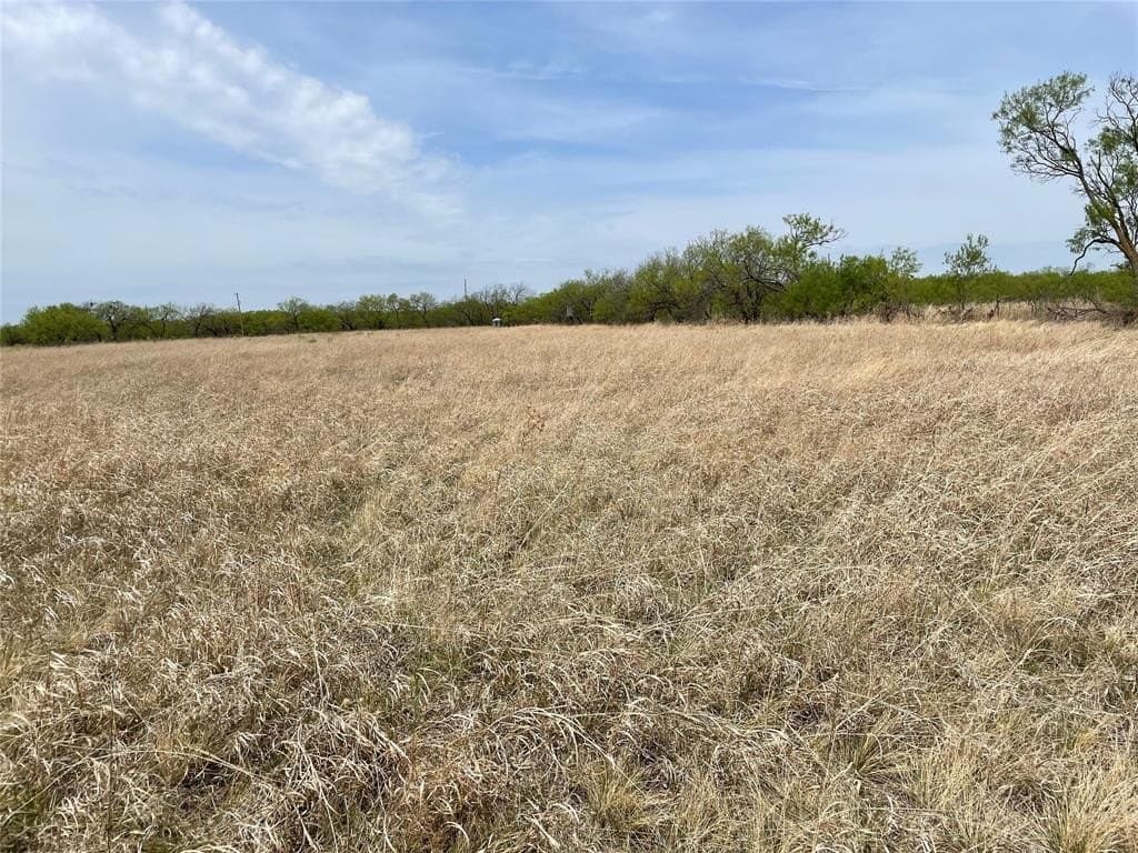 25 acres in Shackelford County - photo 10