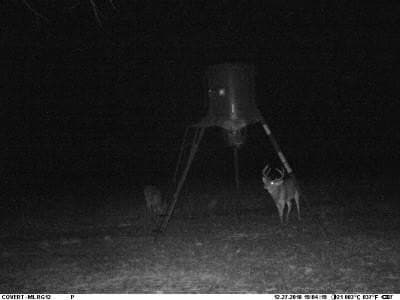25 acres in Shackelford County - photo 35