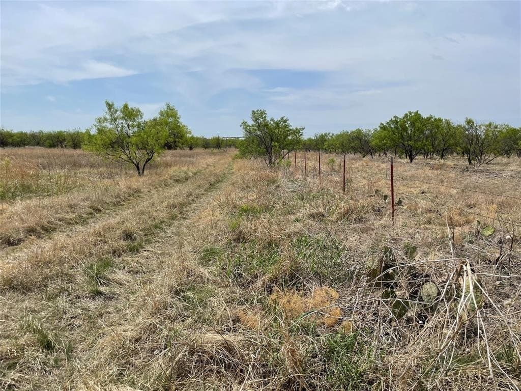 25 acres in Shackelford County - photo 15