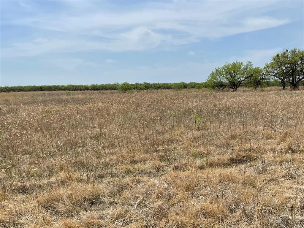 25 acres in Shackelford County - photo 11