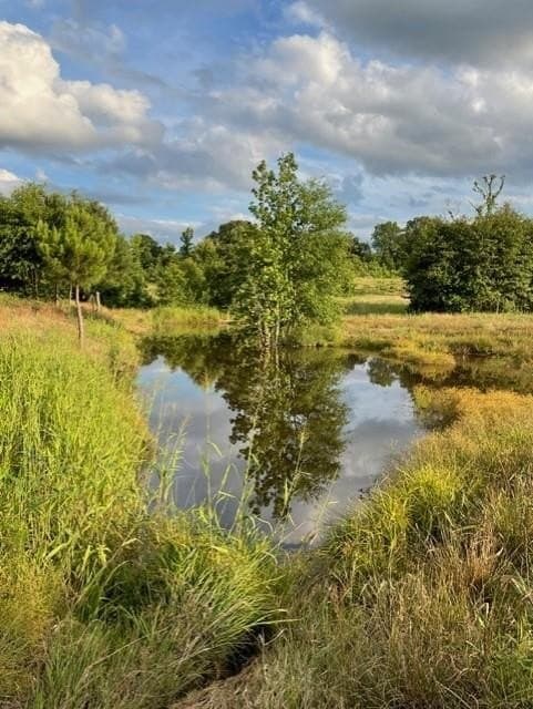 70.02 acres in Rusk County - photo 39