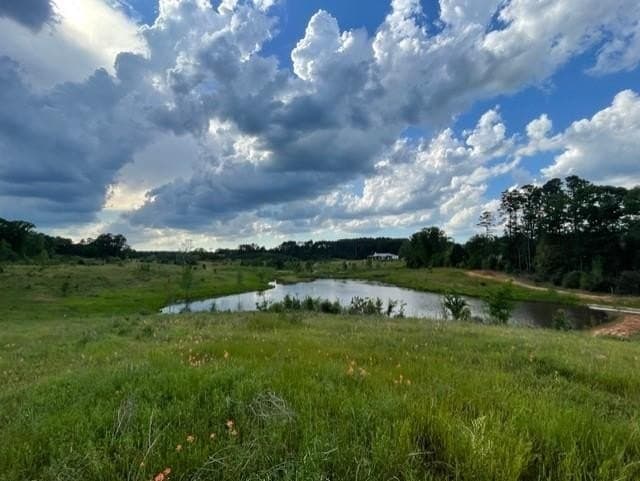 70.02 acres in Rusk County - photo 36