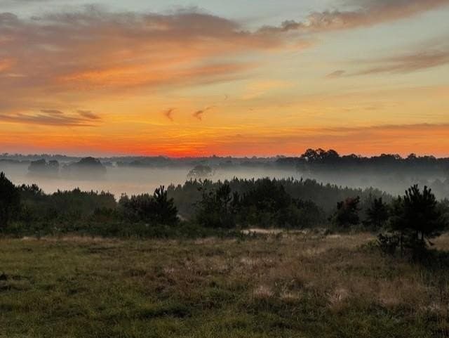 70.02 acres in Rusk County - photo 37