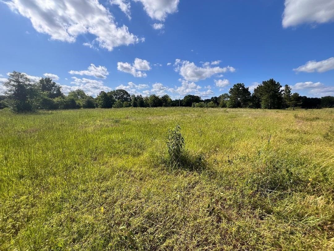 5.42 acres in Gregg County - photo 5