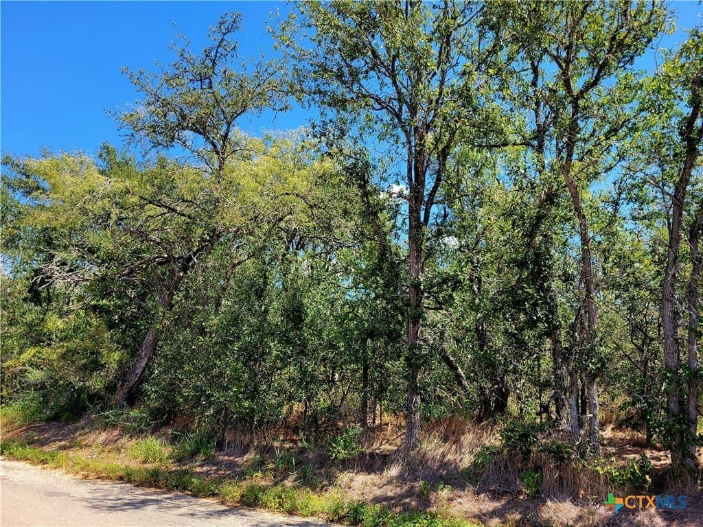 13.96 acres in Caldwell County - photo 2