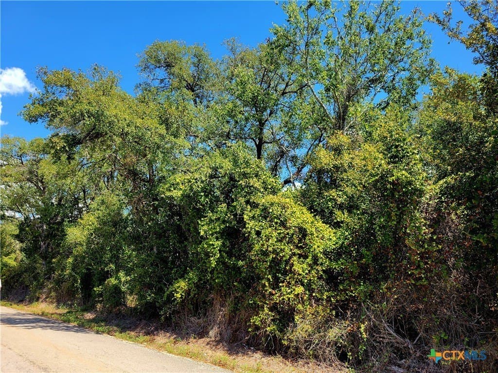 13.96 acres in Caldwell County - photo 8