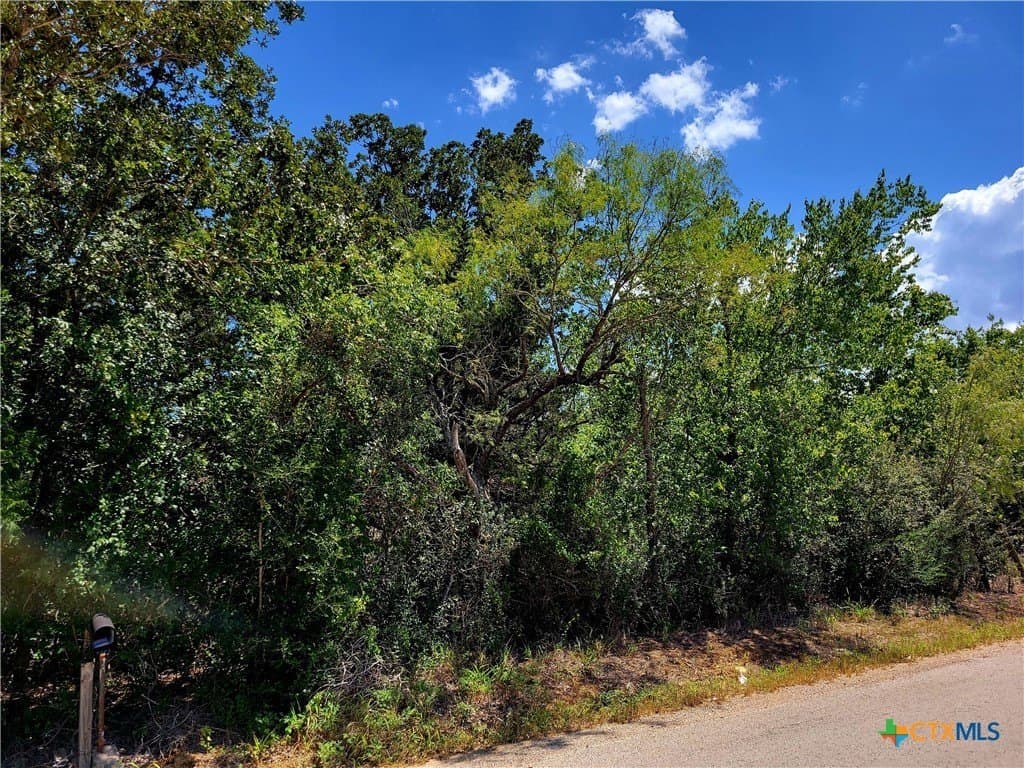 13.96 acres in Caldwell County - photo 9