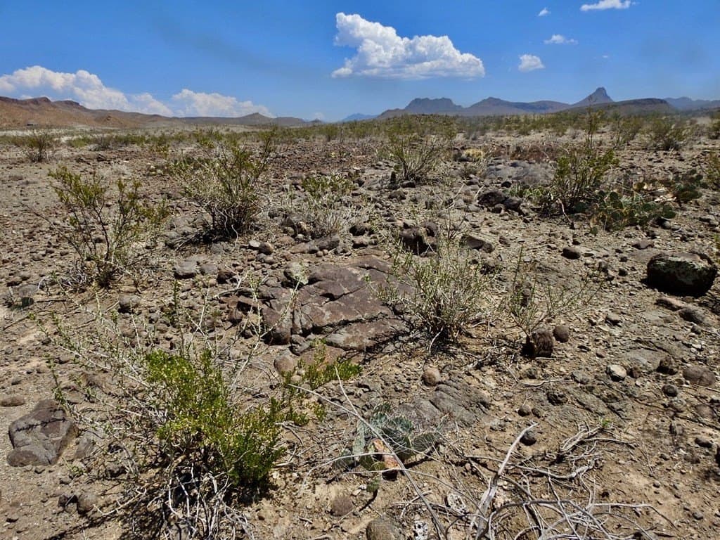 40 acres in Brewster County - photo 24