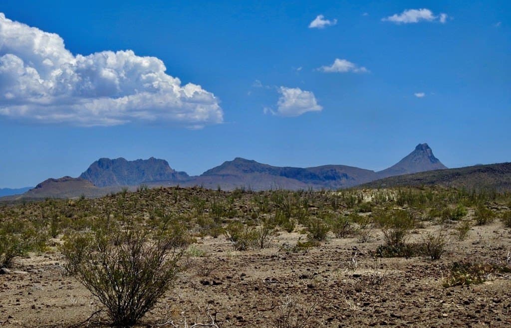 40 acres in Brewster County - photo 4