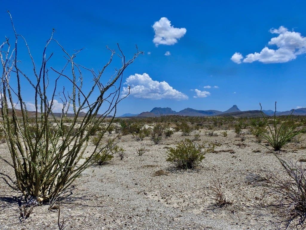 40 acres in Brewster County - photo 6