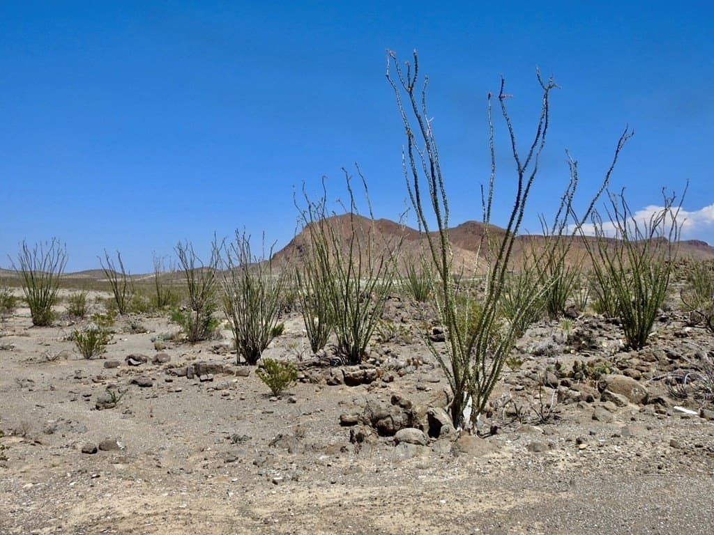 40 acres in Brewster County - photo 28