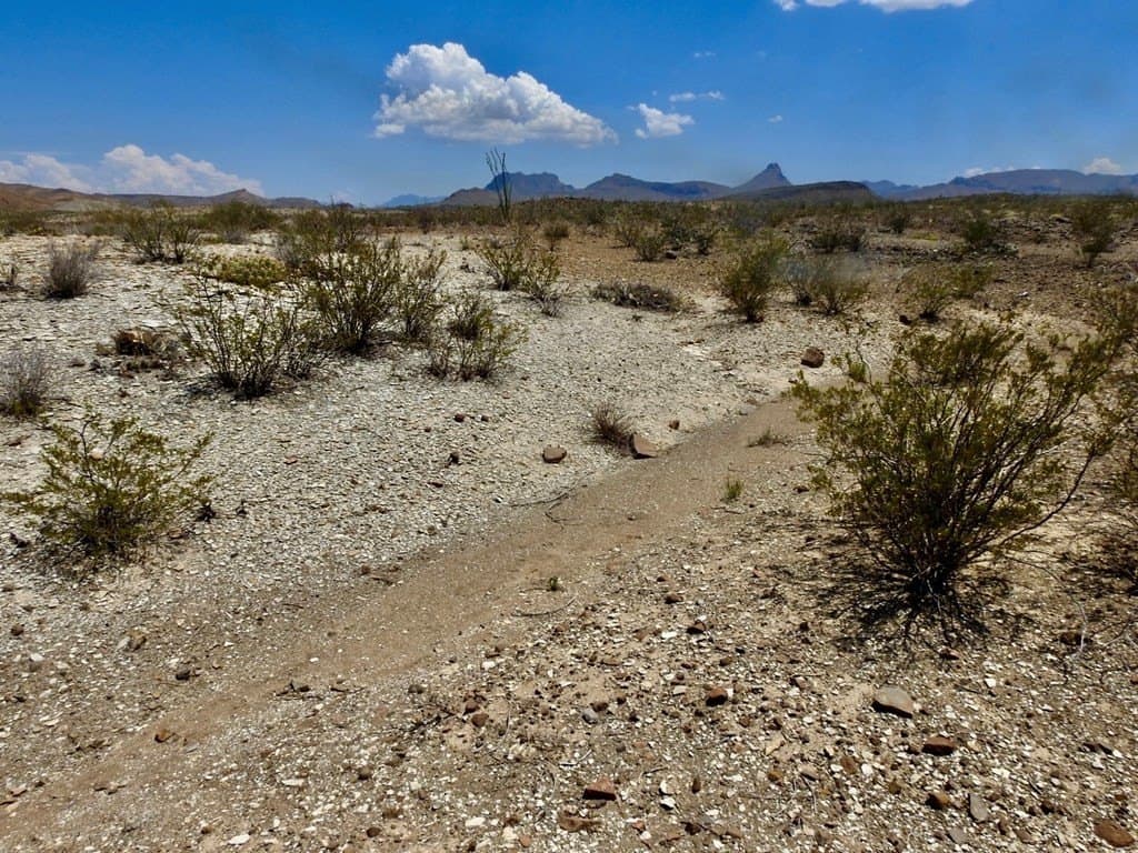 40 acres in Brewster County - photo 18