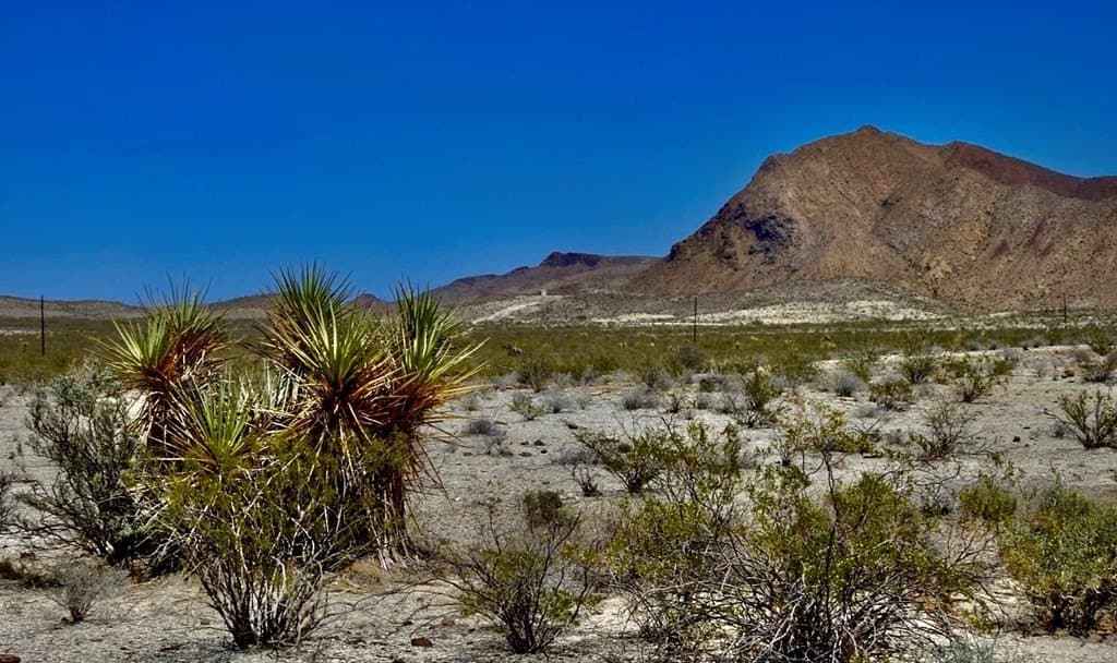 40 acres in Brewster County - photo 5