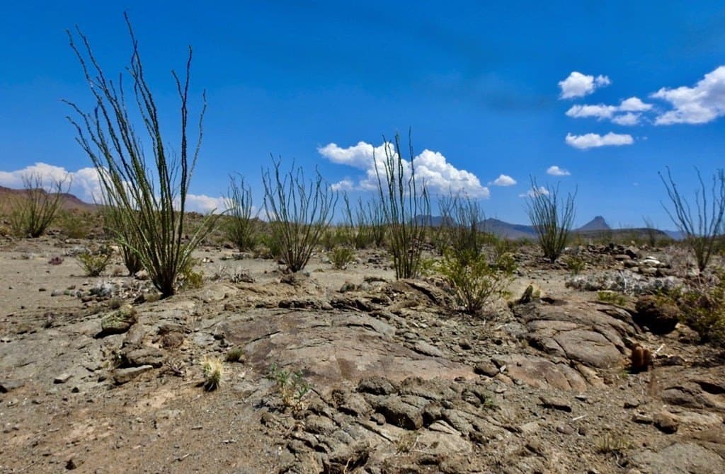 40 acres in Brewster County - photo 3