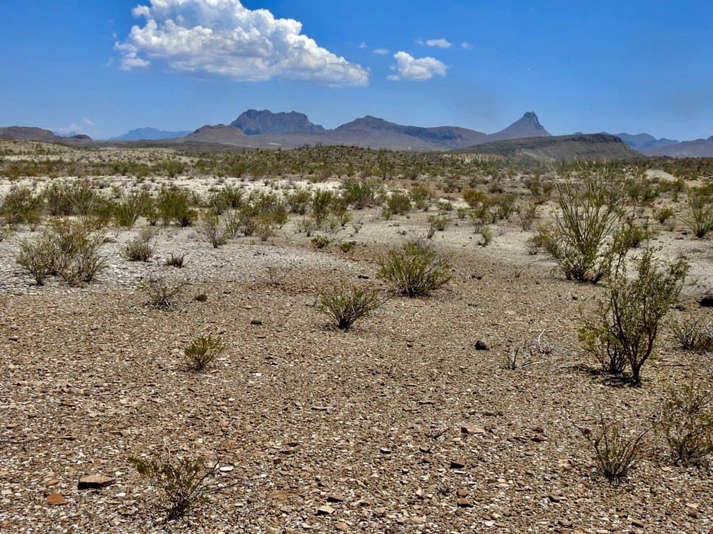 40 acres in Brewster County - photo 15
