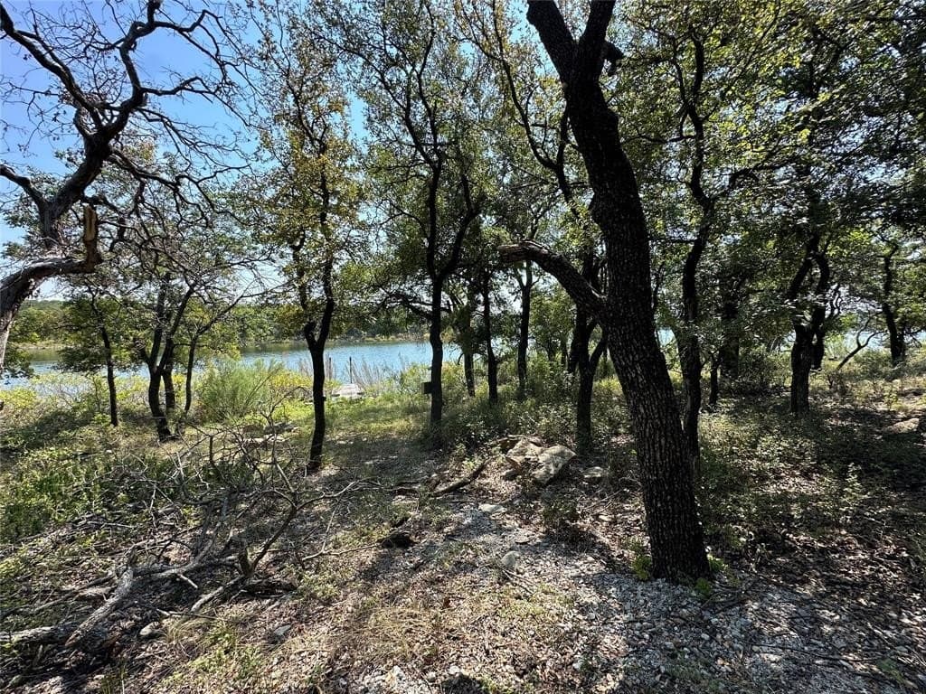 84 acres in Wise County - photo 17