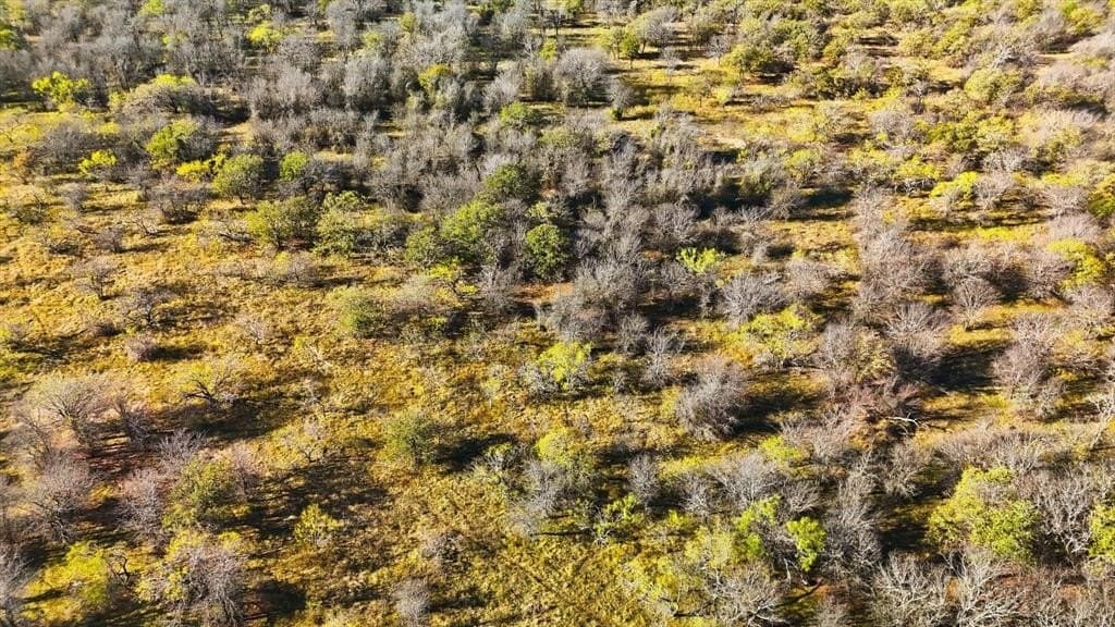 84 acres in Wise County - photo 24