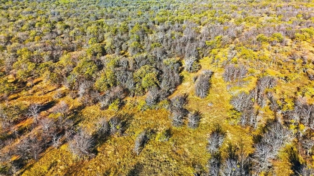 84 acres in Wise County - photo 12