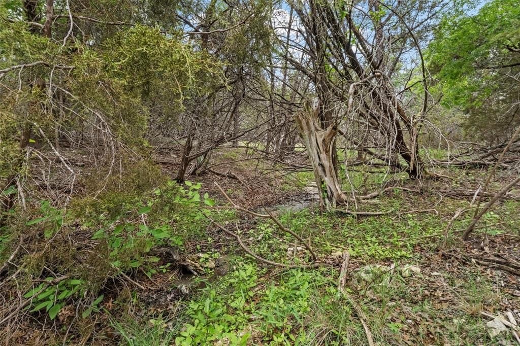 108.4 acres in Bosque County - photo 38