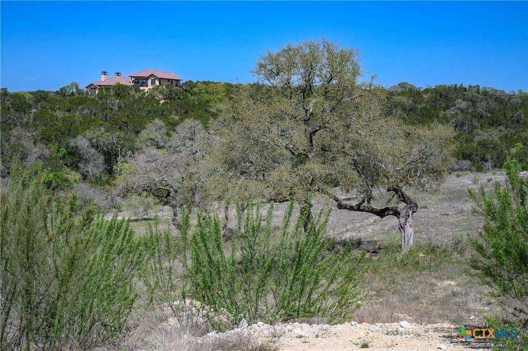 2.4 acres in Comal County - photo 19