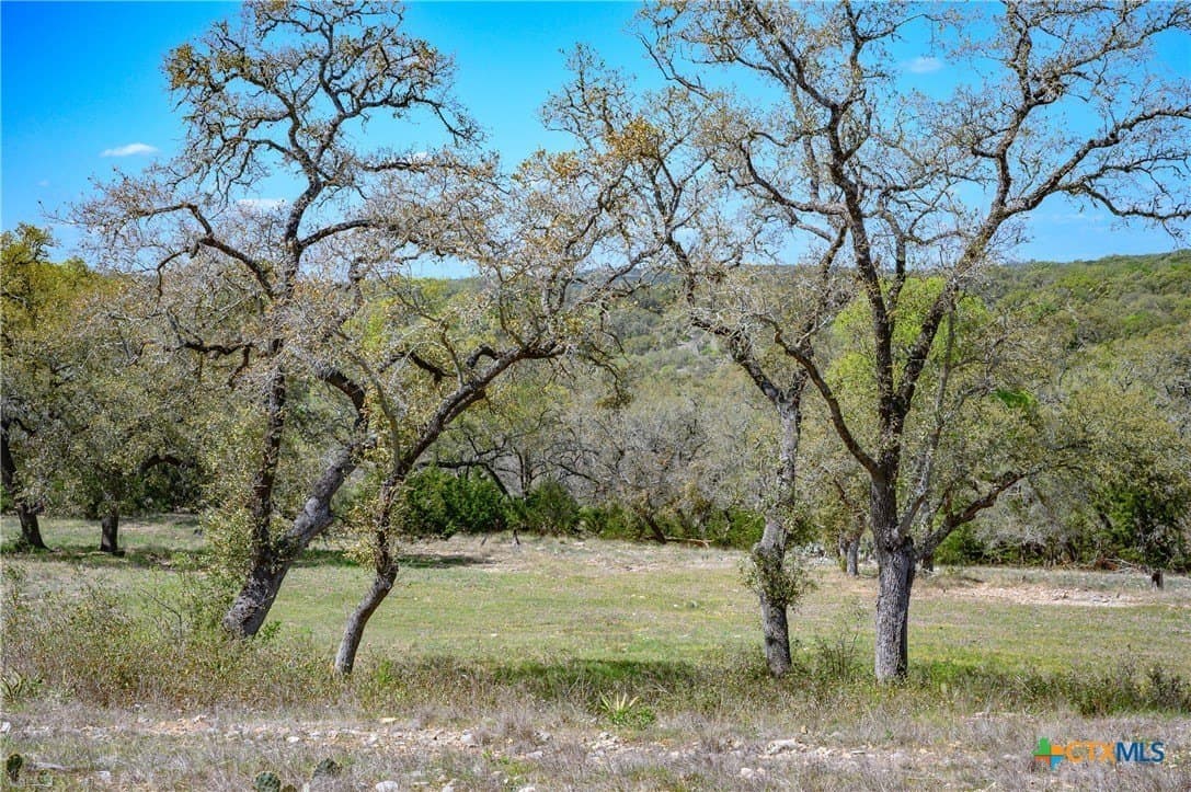 2.4 acres in Comal County - photo 26