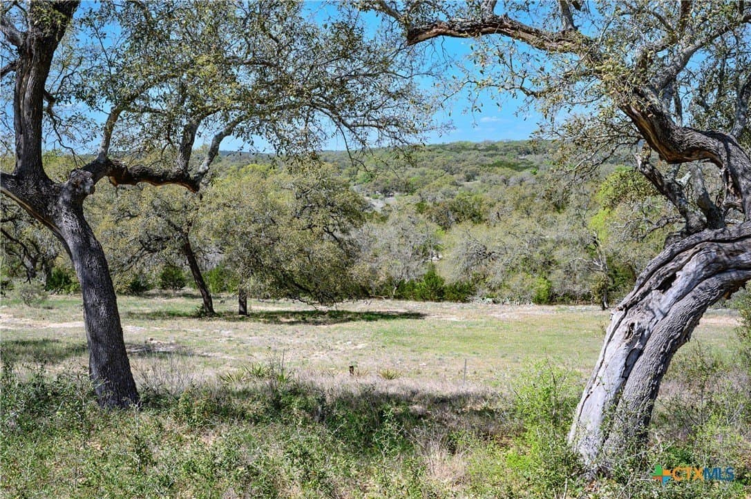 2.4 acres in Comal County - photo 24