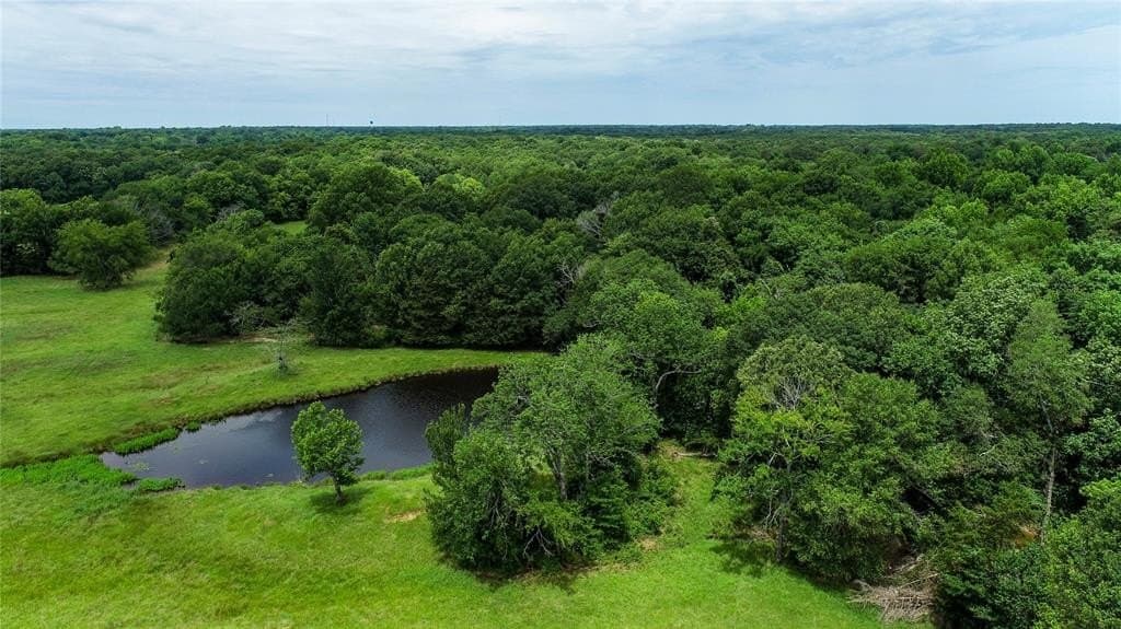 248.04 acres in Lamar County - photo 7