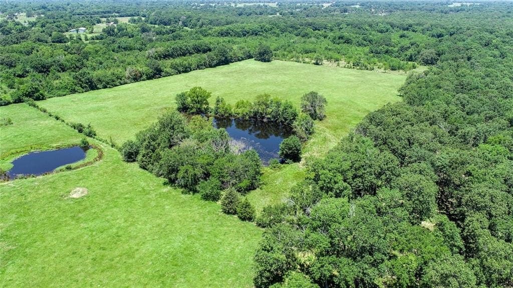 248.04 acres in Lamar County - photo 25
