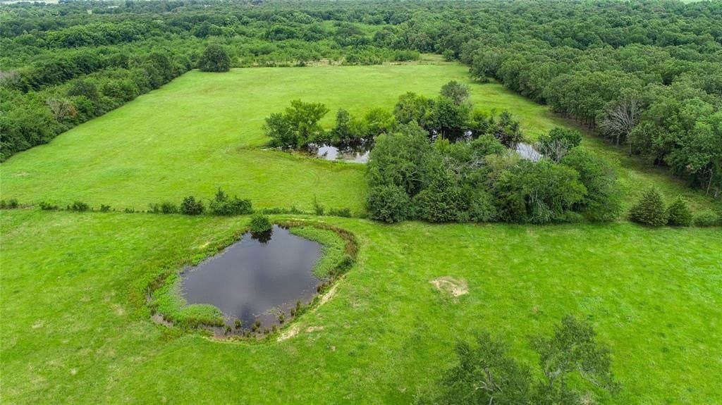 248.04 acres in Lamar County - photo 9