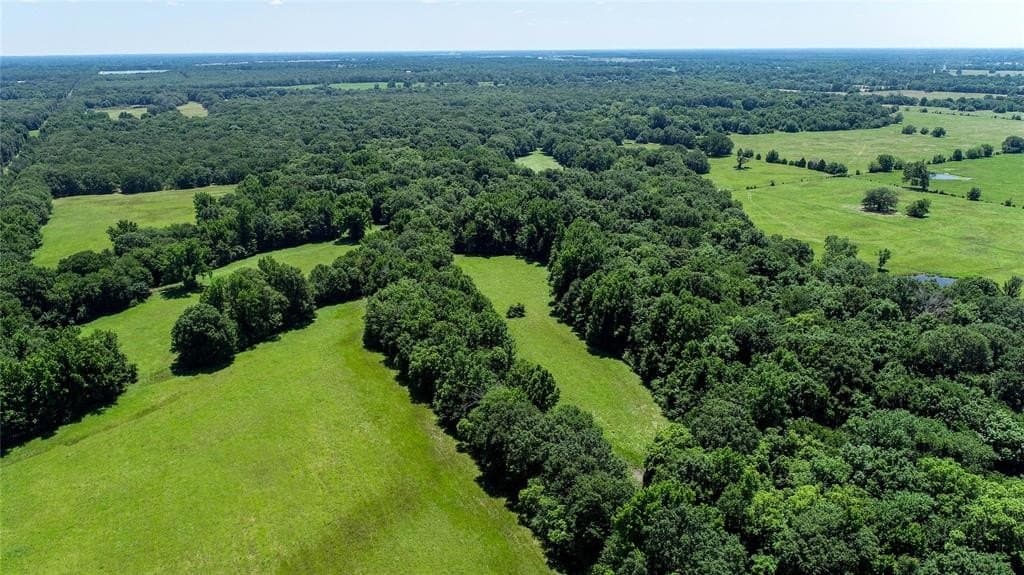 248.04 acres in Lamar County - photo 28