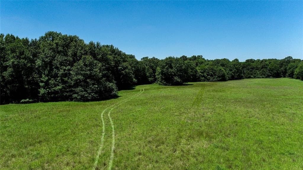 248.04 acres in Lamar County - photo 4