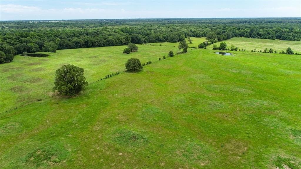248.04 acres in Lamar County - photo 22