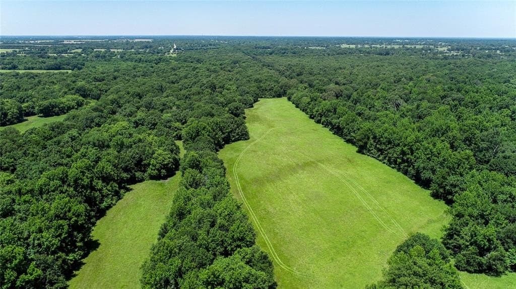 248.04 acres in Lamar County - photo 6