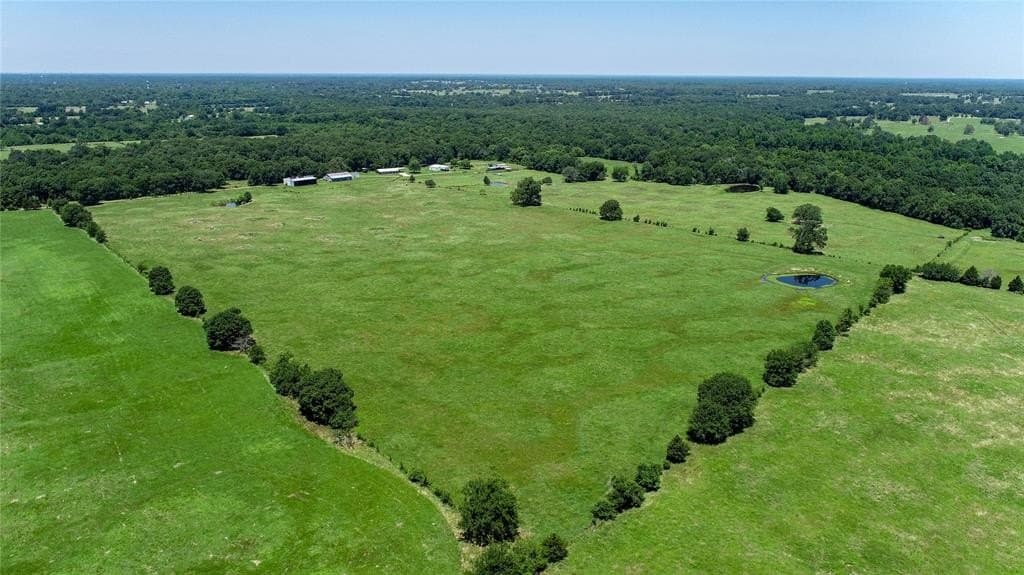 248.04 acres in Lamar County - photo 21