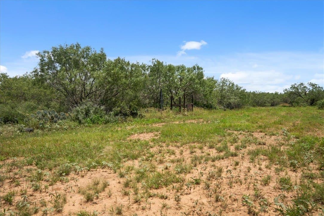 25 acres in Atascosa County - photo 14