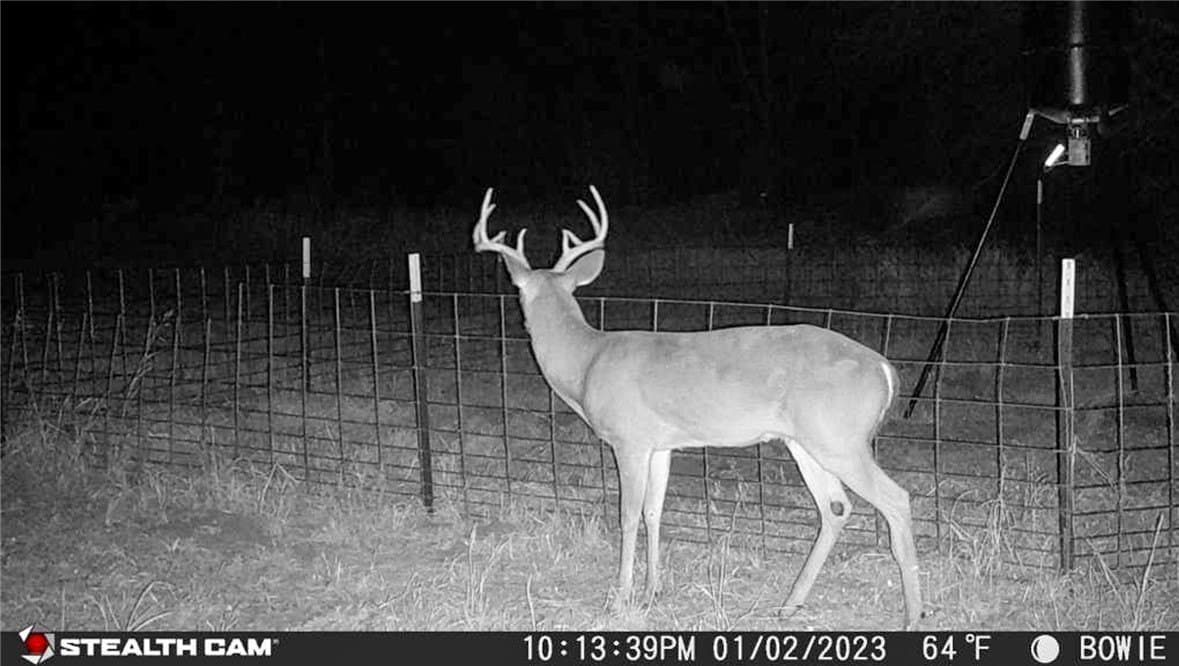25 acres in Atascosa County - photo 17