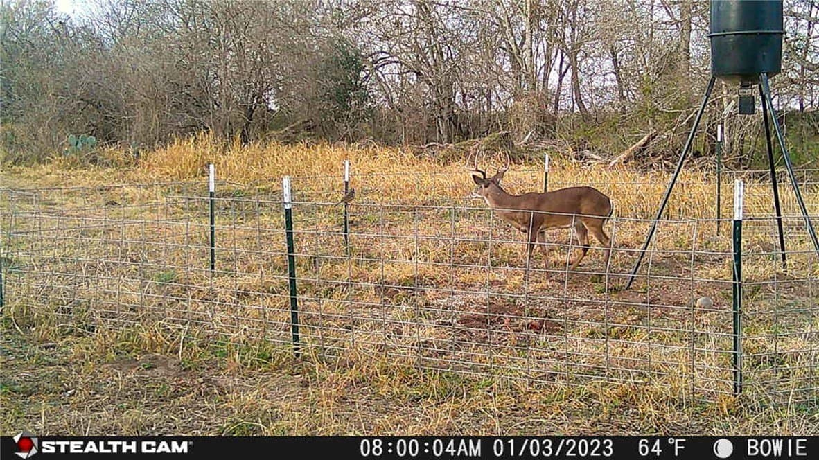 25 acres in Atascosa County - photo 3