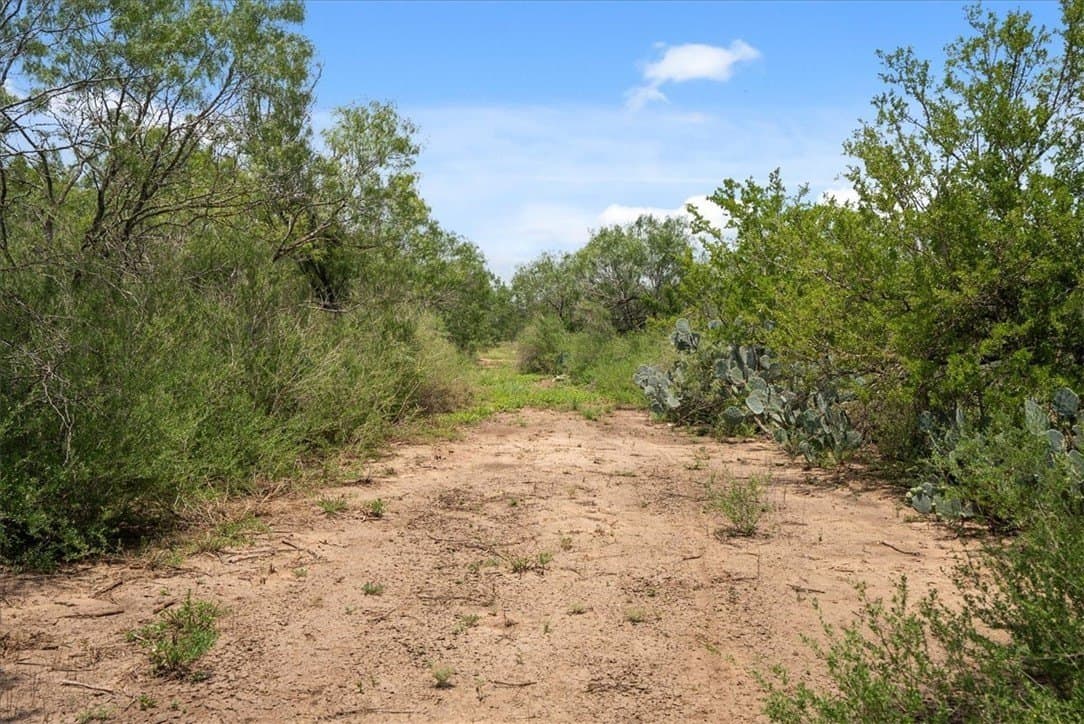 25 acres in Atascosa County - photo 22