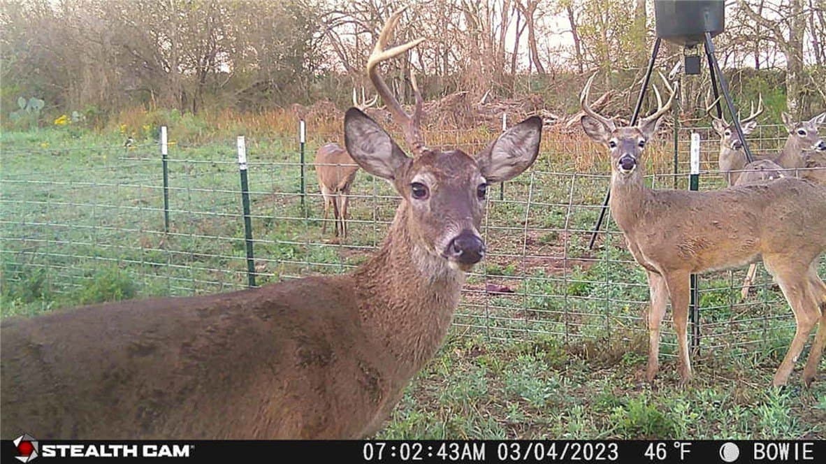 25 acres in Atascosa County - photo 21