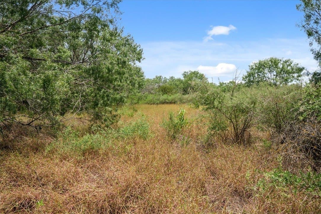 25 acres in Atascosa County - photo 7