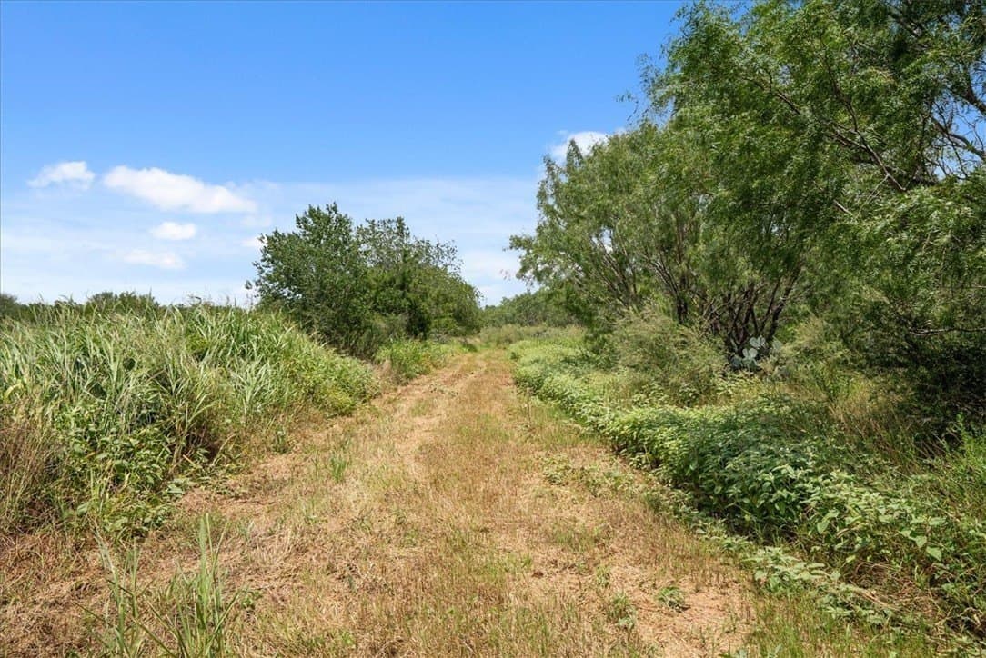 25 acres in Atascosa County - photo 2