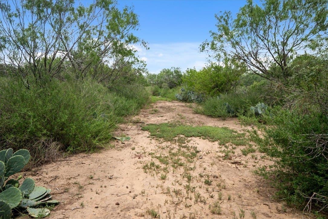 25 acres in Atascosa County - photo 20