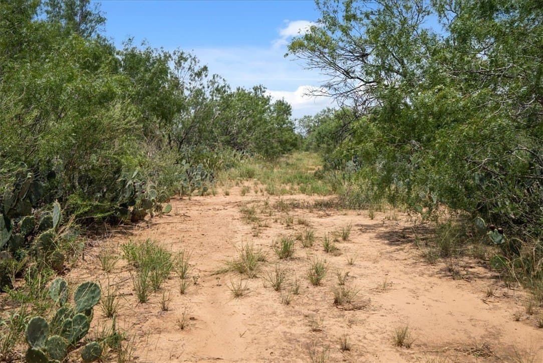 25 acres in Atascosa County - photo 23
