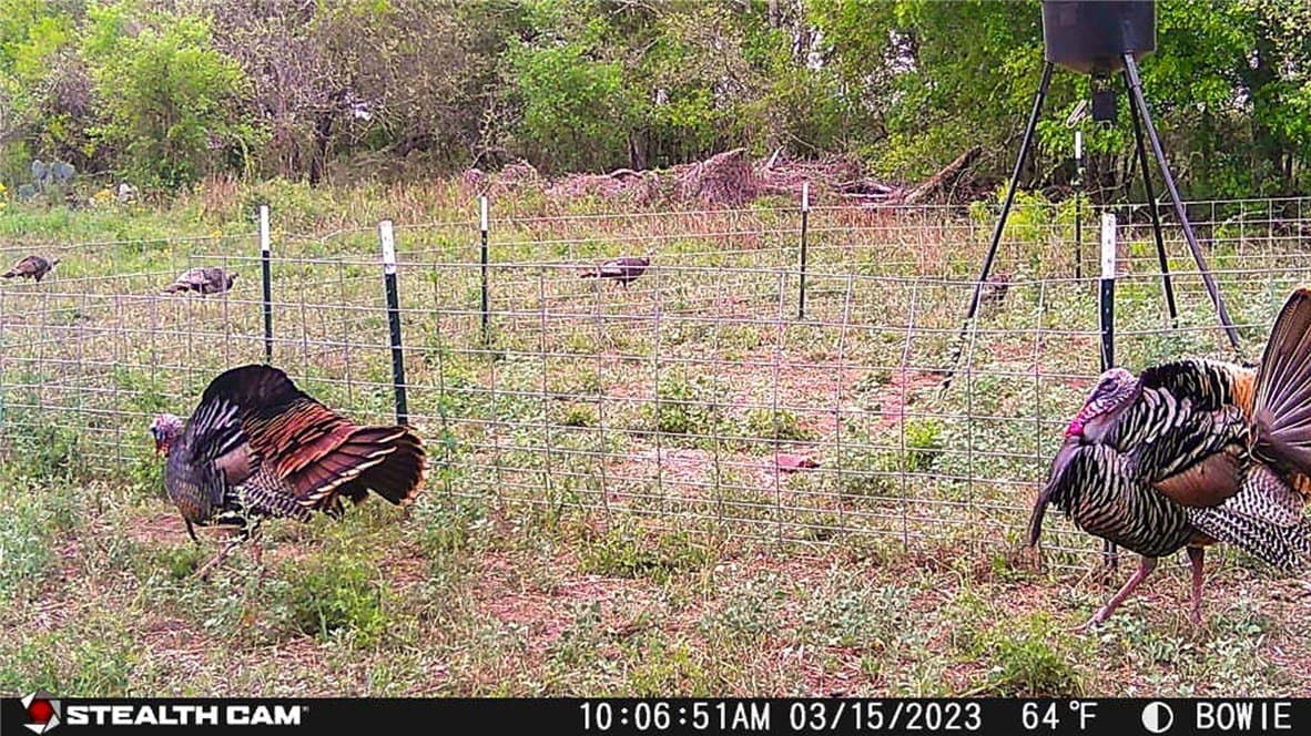 25 acres in Atascosa County - photo 6