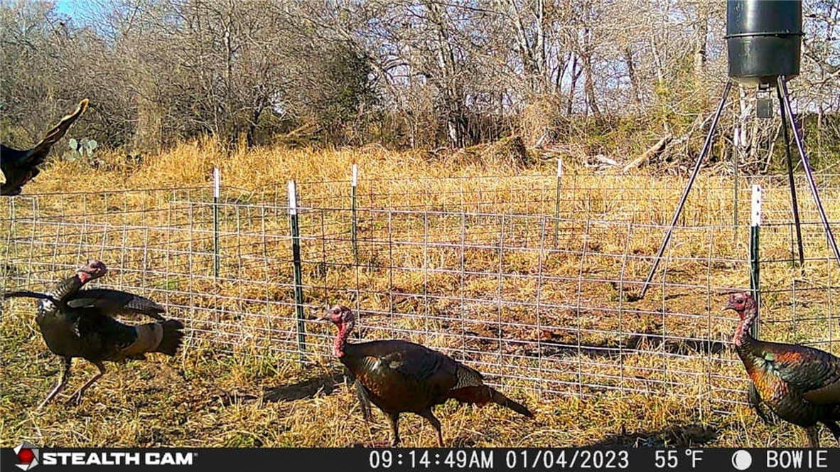 25 acres in Atascosa County - photo 12